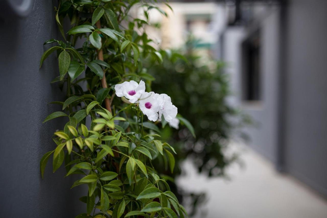 Spacious Flat With Courtyard And Private Parking! 아테네 외부 사진